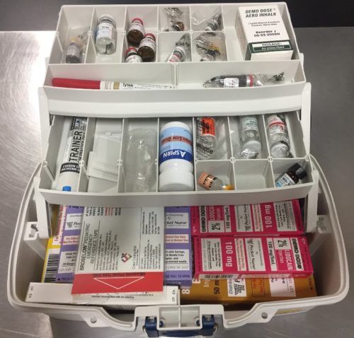 ELS Drug Box (Instructional Use Only) for ACLS & PALS